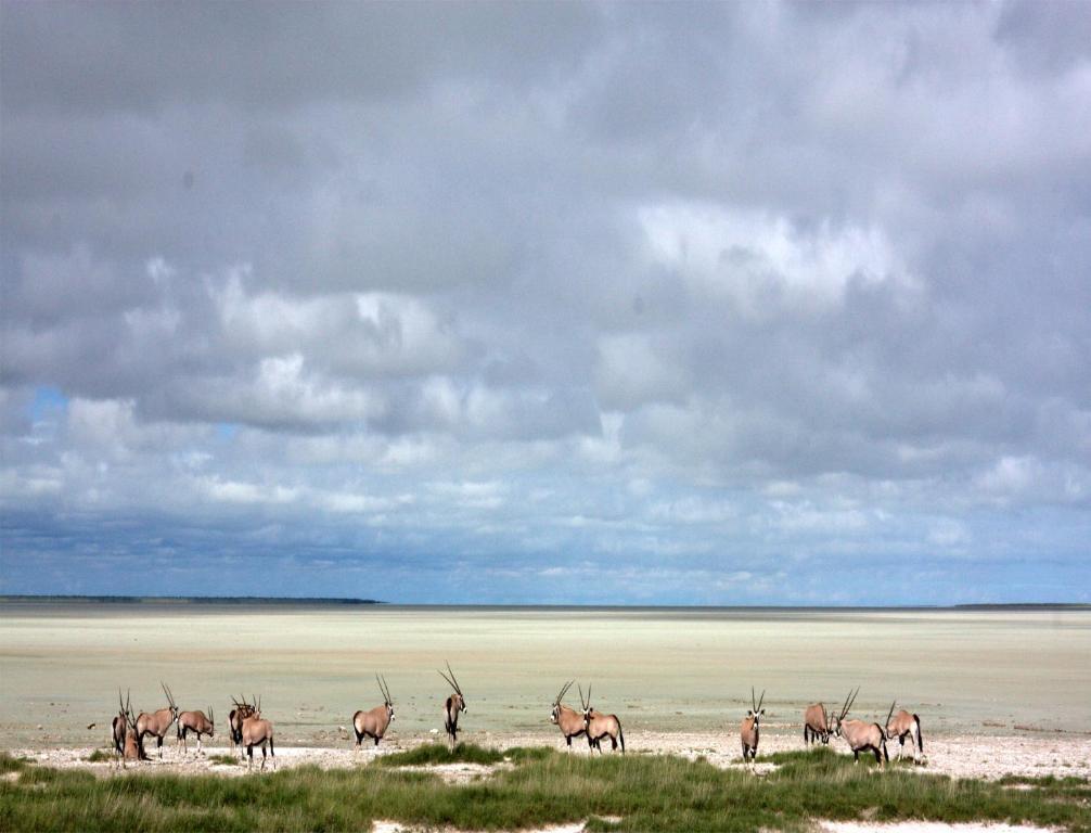 Mokuti Etosha Vila Namutoni Exterior foto