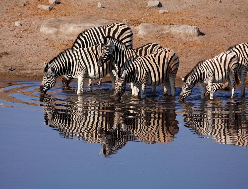 Mokuti Etosha Vila Namutoni Exterior foto